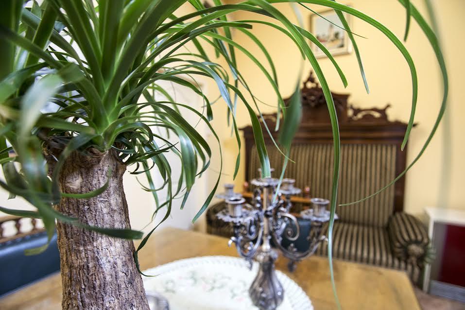 Luna Apartment ノヴィ・サド エクステリア 写真